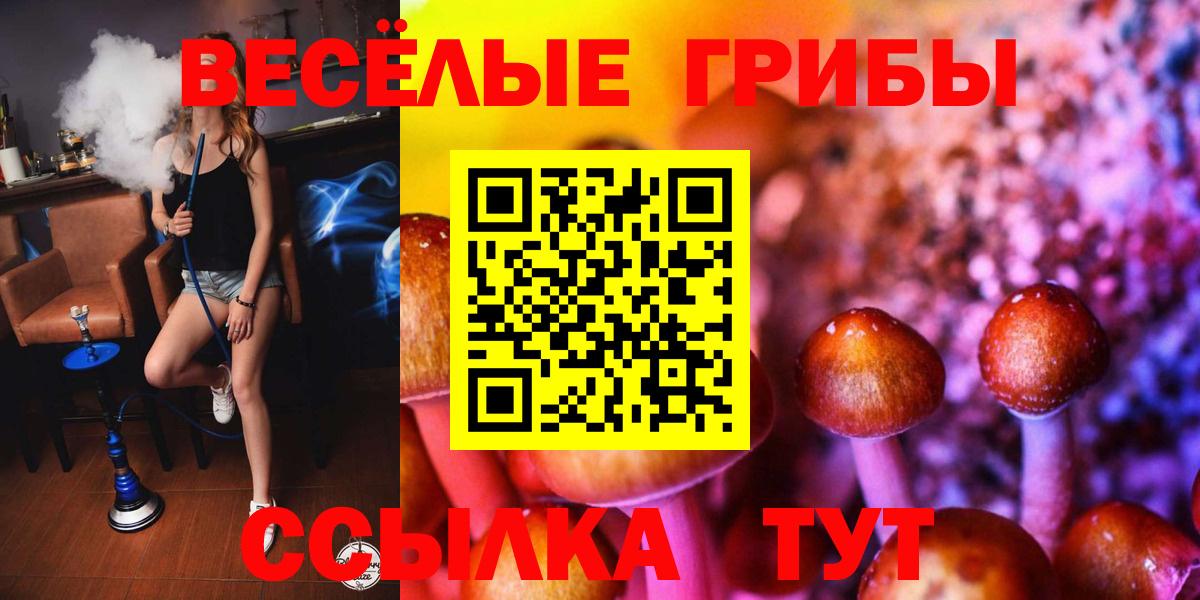 Кунгур  Галлюциногенные грибы Cubensis  Вход с VPN 